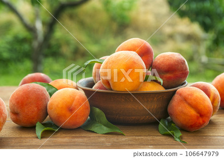 Ripe and tasty and juicy peaches lie on a plate on a wooden table in the garden. Ripe and tasty and juicy peaches lie on a plate on a wooden table in the garden. 106647979