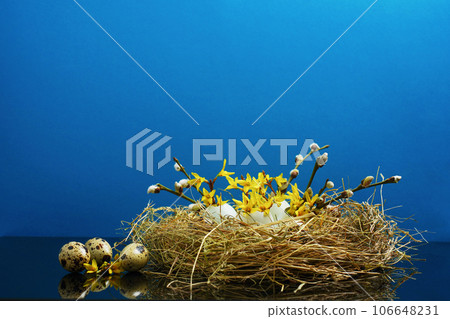 Happy Easter background concept. Easter decoration as nest with egg shells with spring flowers and quail eggs. Creative easter layout. Copy space 106648231