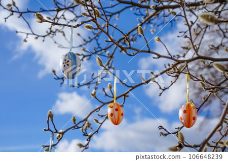 Colorful easter eggs hanging on tree branches on a sunny day with blue sky background. Selective focus. Concept of Easter in Germany. Frohe ostern Colorful easter eggs hanging on tree branches on a sunny day with blue sky background. Selective focus. Concept of Easter in Germany. Frohe ostern 106648239
