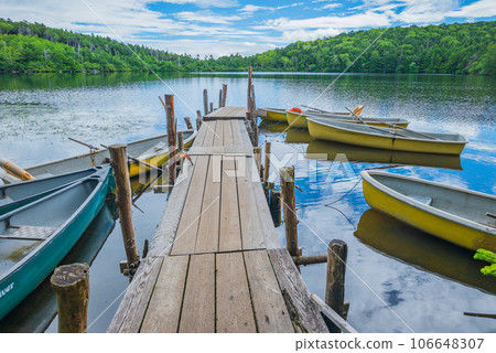 Shirakoma Pond [Summer] 106648307