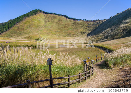 日本蒲葦點``索尼高原/奈良縣'' 日本蒲葦點``索尼高原/奈良縣'' 106648759
