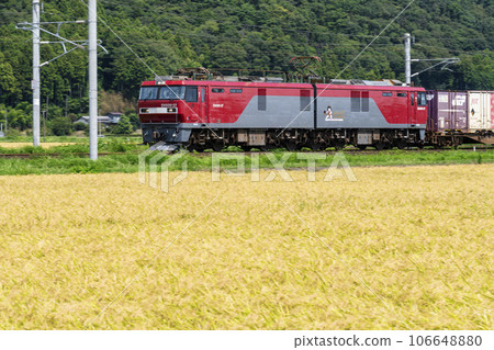宮城縣柴田町的金稻穗和貨運列車機車 106648880