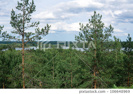 natural landscape with forest and lakes, aerial view natural landscape with forest and lakes, aerial view 106648969