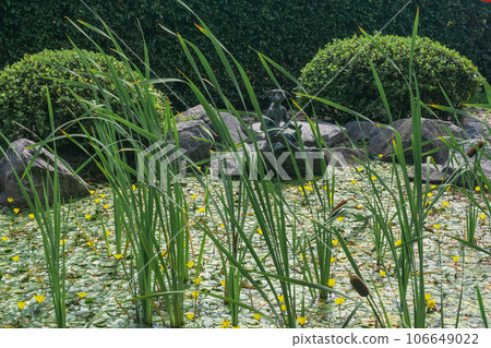 kappa sculpture on the bank of a pond in the Japanese Garden of the St. Petersburg Botanical Garden 106649022