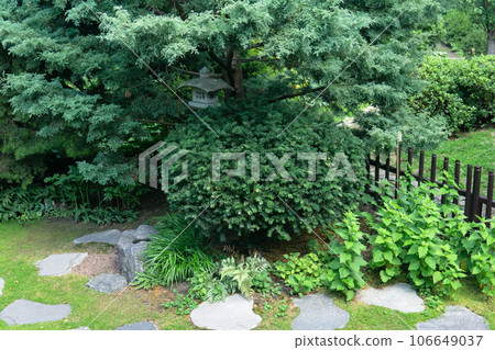 japanese garden landscape with stone lantern under pine tree 106649037