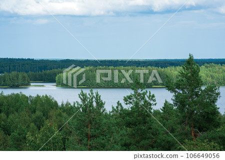 natural landscape with forest and lakes, aerial view 106649056