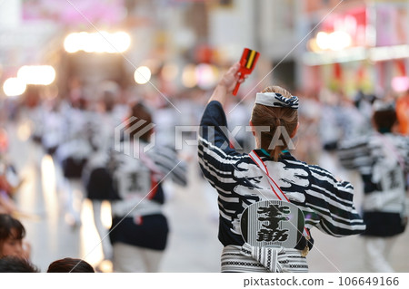 土佐夜來 106649166