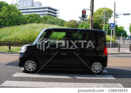 crosswalk crosswalk 106649445