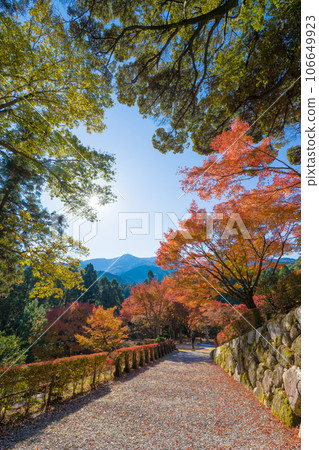 Autumn leaves at Raizan Sennyoji Daihioin Temple (Itoshima City, Fukuoka Prefecture) Autumn leaves at Raizan Sennyoji Daihioin Temple (Itoshima City, Fukuoka Prefecture) 106649923