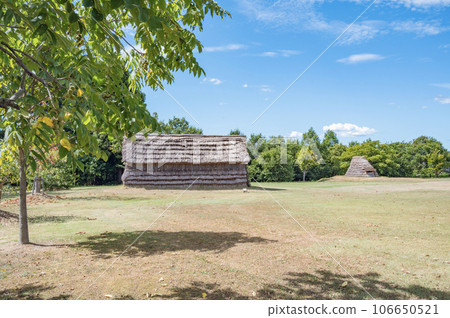 Niigata Umataka ruins 106650521