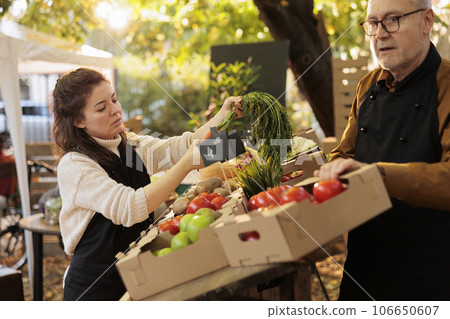 Senior adult and young person selling healthy farm produce, preparing stand with fruits and vegetables for clients. Farmers working at local market to help clients with organic products. 106650607