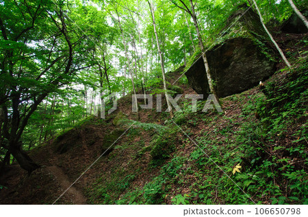 huge rock in the forest 106650798