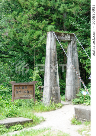 Suspension Bridge in the Ookura River Valley 106650982