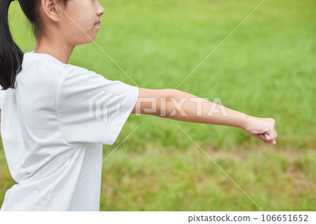 Elementary school girl practicing karate in a midsummer park Elementary school girl practicing karate in a midsummer park 106651652