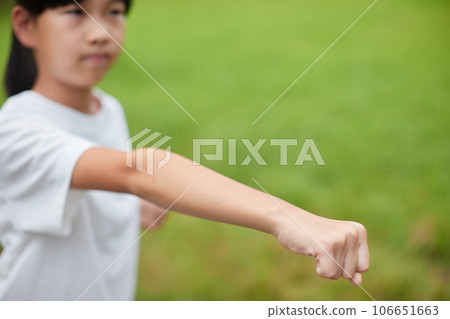 Elementary school girl practicing karate in a midsummer park Elementary school girl practicing karate in a midsummer park 106651663