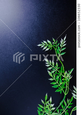 黑色背景和樹葉背景素材 黑色背景和樹葉背景素材 106652330