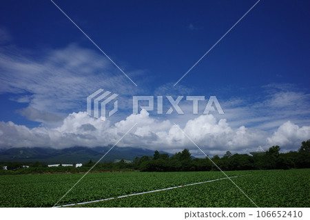 Summer scenery of Nobeyama Plateau where a radio telescope can be seen beyond the fields under the blue sky 106652410