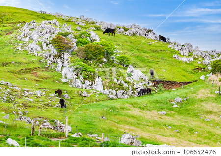 Shikoku karst 106652476