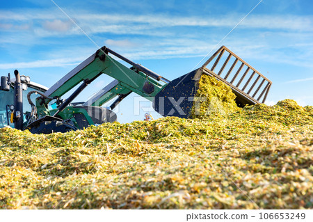 Preparation of animal food in agricultural complex 106653249