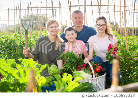 Happy family standing with crop of vegetables in garden Happy family standing with crop of vegetables in garden 106653337