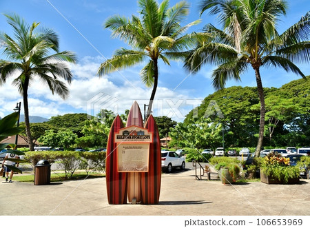 Holidays in Hawaii Holidays in Hawaii 106653969