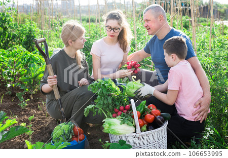 Cheerful family talking in home vegetable garden 106653995