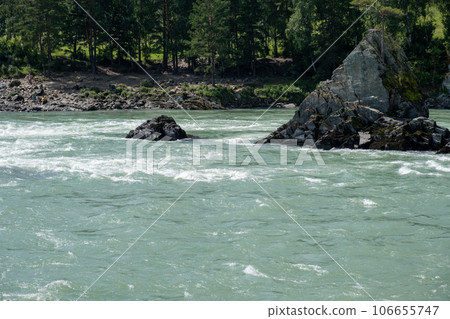 A wide, full-flowing mountain river with a fast current. Large stones stick out of the water. The large turquoise-colored mountain river Katun in the Altai Mountains, Altai Republic. 106655747