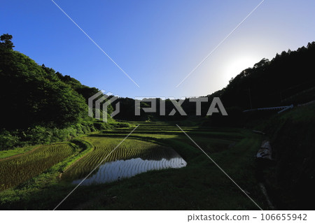 插秧後的入子石畠梯田 / 栃木縣茂木町 插秧後的入子石畠梯田 / 栃木縣茂木町 106655942