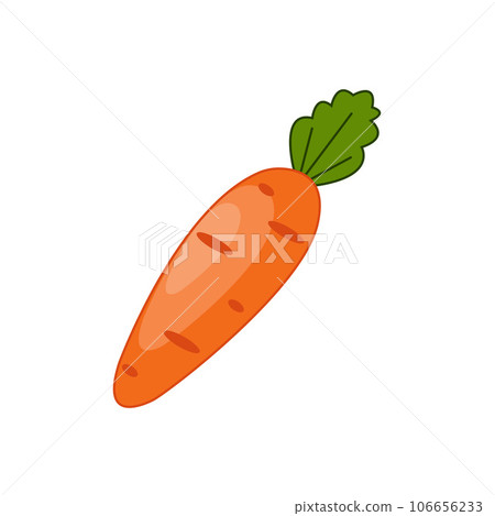 Carrot. Ripe orange carrots. Vegetable garden. Vegetarian product. Vector illustration isolated on a white background 106656233