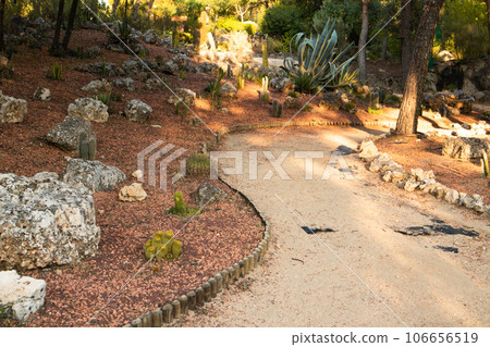 Winding path for walking in the park in summer. Calm landscape in sunlight. Trees, shrubs, herbs in a garden. Landscape design with using cactuses, succulents, stones. Hot climate. Gardens of Spain. 106656519
