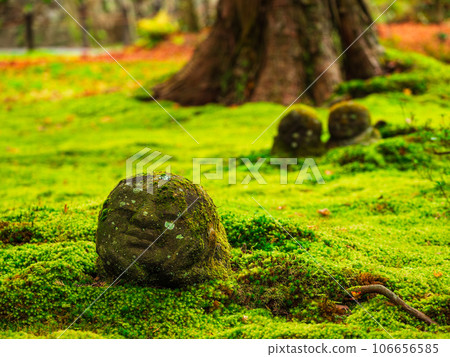 秋天京都Sanzenin Warabe Jizo 秋天京都Sanzenin Warabe Jizo 106656585