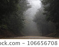 被霧包圍的山路 106656708