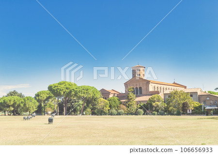 Basilica of Sant'Apollinare in Classe Basilica of Sant'Apollinare in Classe 106656933
