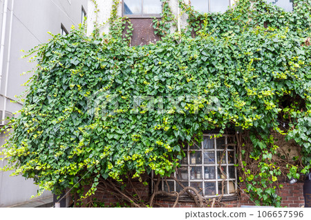 Old and very beautiful building in Kurashiki city, Okayama prefecture, Japan 106657596