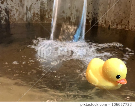 台灣烏來溫泉（烏來溫泉）的鴨子 106657723