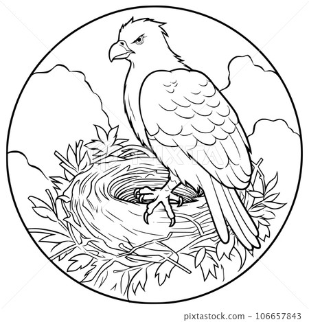 Bird Sits in a Nest Coloring Page Graphic by MyCreativeLife