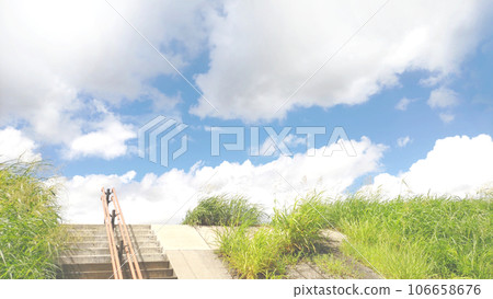 Stairs to the riverbed on a sunny day Stairs to the riverbed on a sunny day 106658676