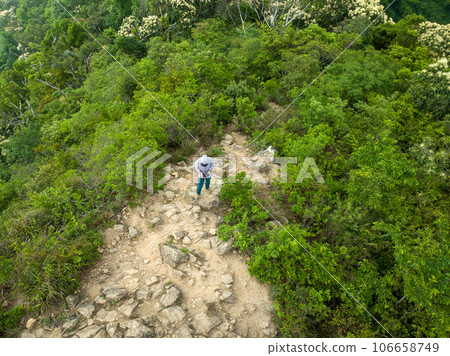 People remote contrlling a flying drone in spring forest 106658749