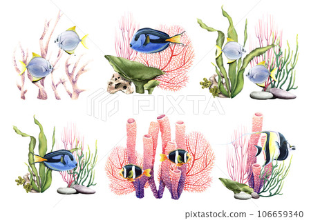 A set of coral reef underwater compositions with plants, corals and fishes. Watercolor illustrations isolated on white for clip art, label, packages 106659340