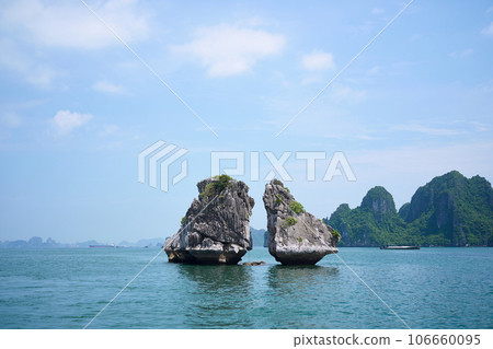 Vietnam Halong Bay Cockfight 106660095
