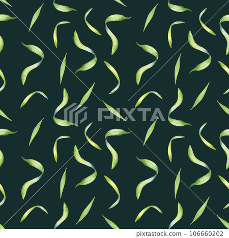 Palm leaves of acai tree watercolor seamless pattern isolated on dark. Green brunch of tropical palm, exotic leaf hand drawn. Design element for wrapping, packaging, textile, background, paper Palm leaves of acai tree watercolor seamless pattern isolated on dark. Green brunch of tropical palm, exotic leaf hand drawn. Design element for wrapping, packaging, textile, background, paper 106660202