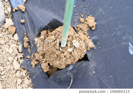 A man drills a hole with a hand drill through agrofibre, field and manual work. 106660315