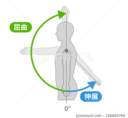 Movement and direction of shoulder joint 106660769