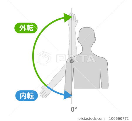 Movement and direction of shoulder joint Movement and direction of shoulder joint 106660771