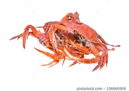 steamed crab isolated on white background 106660909