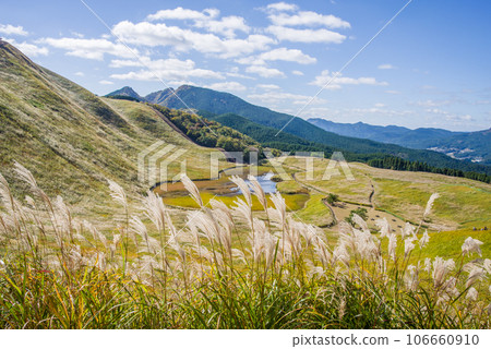 Famous spot for pampas grass [Soni Plateau/Nara Prefecture] 106660910