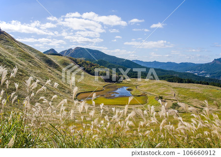 Famous spot for pampas grass [Soni Plateau/Nara Prefecture] 106660912