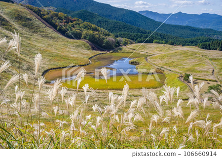 蒲葦名勝【索尼高原/奈良縣】 蒲葦名勝【索尼高原/奈良縣】 106660914
