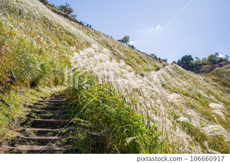 蒲葦名勝【索尼高原/奈良縣】 106660917