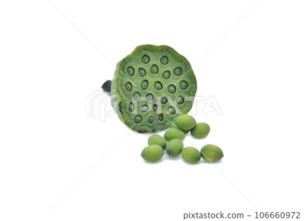 lotus seeds isolated on white background lotus seeds isolated on white background 106660972